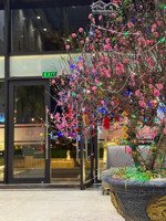 rẻ nhất toà del dorado tây hồ, bán căn hộ 2pn - 2vs - 70m2 giá bán 9.3 tỷ, có sổ lâu dài