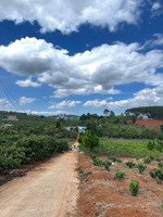 1200m2 đất nam ban 24m mặt đường