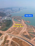 đất nền biệt thự đảo hoa giáp vin hạ long xanh diện tích từ 225m lh 