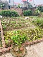 cần bán gấp 40m2 đình trung, xuân nộn( thư lâm) giá chỉ 2,84 tỷ.