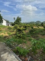 chính chủ bán 2100m full thổ cư