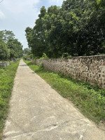 chính chủ bán 1500m2 full thổ cư