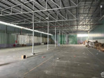 cho thuê kho xưởng 1.000m²có pccc và điện 3 pha, p.hưng phú - tp. cần thơ, giá thuê 50 triệu/ tháng