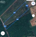 BÁN ĐẤT SKC TẠI VĨNH HOÀ PHÚ GIÁO BÌNH DƯƠNG (BĐ160)