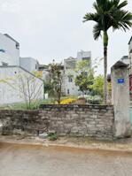 Bán 2 lô đất ngõ phố Bảo Tháp, ph Tân Hưng, TP HP mới, 47.3m2, 48m2, mt 4m, chỉ 1.49 tỷ