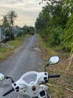 Bán đất vườn đường xe tải đá xanh xã Lương Hòa, Bến lức dt 8000m2 giá 15 tỷ