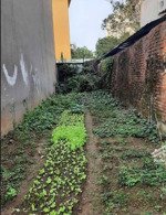 ngô gia tự. chỉ hơn 7 tỷ mảnh đất 63m. bán mảnh đất ngõ 41 phố ô cách. ngô gia tự long biên. dt 63