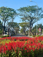 bán đất tại fpt, hòa hải, q. ngũ hành sơn, đà nẵng, 216m2, đường 7.5m lề 4m giá thỏa thuận,