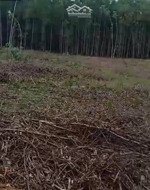 bán đất tại tổ 1, thôn diêu phong, 1,56 tỷ, 12000 m2, nhiều tiện ích, uy tín