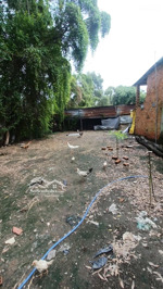 bán trang trại, khu nghỉ dưỡng tại 1/ đường rạch sậy, 4,5 tỷ, 800m2, view đẹp, nhiều tiện ích