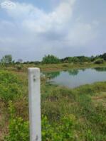 CHÍNH CHỦ CẦN BÁN GẤP ĐẤT TẠI XÃ BÌNH KHÁCH, CẦN GIỜ, TP. HỒ CHÍ MINH