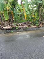 BÁN ĐẤT TÁI ĐỊNH CƯ ĐỒNG DOI BA VÌ, VỊ TRÍ CỰC ĐẸP GẦN GA CUỐI TUYẾN METRO SỐ 5, GIÁ HƠN 3 TỶ LH0866990503