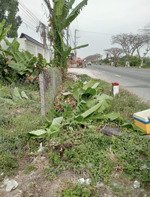 bán 1.500m2 giá 7.8ty đất cây lâu năm, 9m mặt tiền, trên đường ql80 lai vung 