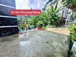 chính chủ gửi bán 61,5 phượng đồng-phụng châu