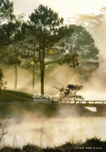 cần sang nhượng 10,5ha đất châu đức bà rịa vũng tàu. lh: mr tân