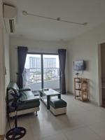 cho thuê căn hộ diamond lotus riverside q8. - vị trí: ngay cầu chữ y