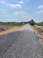 Bán đất thổ cư đường đá xanh 9m xã Tân Thành , Thủ Thừa dt 589m2 giá 2,15 tỷ