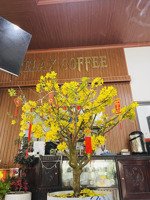 cần bán lô đất huỳnh văn nghệ, nơi tập trung các trường đại học đà nẵng