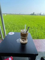 bán đất view lúa cẩm châu. hội an