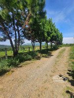 bán đất tại xã hoà ninh, di linh, lâm đồng, 2,89 tỷ, 256 m2 - giá cực chất