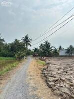 Bán nền Thổ Lúa 572m2 có 5x29m thổ cư mt bê tông 3m cách QL1A 1km tại Xã Nhựt Chánh, Bến Lức