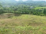cơ hội đầu tư quỹ đất 3.500m núi bé - xuân mai(nam phương tiến cũ) view đẹp, tiềm năng phát triển.