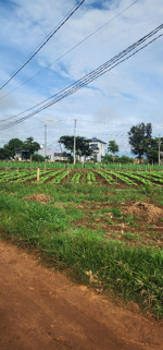 bán đất tại tutra đơn dương lâm đồng 268m2