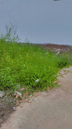 chính chủ cần ra lô đất hẻm 4m đường cồng đồng lộc trung. 380tr/ 125m2. liên hệ đi xem trực tiếp