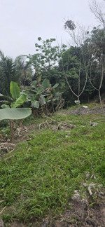 mở bán lô đất cách trung tâm hà nội chỉ 16km