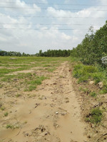 bán đất tại xã tân lập, huyện hàm thuận nam, bình thuận, giá cực chất 25 tỷ vnd, 100000 m2