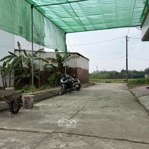 đất đấu giá biên giang, sát ql6 diện tích 52m2 mt 5m vỉa hè rộng giá cực rẻ, phù hợp xây ở hoặc đt