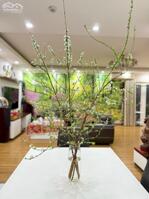 M5 Nguyễn Chí Thanh 149m2 căn góc NHÀ ĐẸP ở ngay giá hơn 90tr/m2. Liên hệ: 0988669892