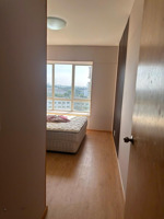 bán canary ngay siêu thị aeon mall visip 1