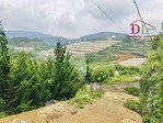 6 sào đất có thổ cư khu nghĩ dưỡng măng lin đà lạt giá chỉ 3,3tr/m2