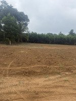 bán đất tại đường hồ chí minh ngọc lặc thanh hoá , 270 triệu, 89m2, pháp lý đầy đủ