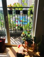 bán gấp căn hộ the park residence giá siêu hiếm 2pn chỉ 3tỷ