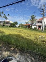 tuyệt phẩm view lúa, mặt tiền cửa đại, hội an, 402m2, ngang 12m, giá chỉ nhỉnh 20 tỷ