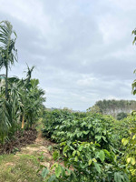 gia đình lớn tuổi, bán giá tốt nhất thị trường, lh chính chủ