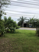 bán đất tại 1668, quốc lộ 1a, 3 tỷ vnd, 2201 m2, giá siêu hời