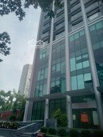 cho thuê căn liền kề n 0 8 phố nguyễn thị thập diện tích 90 mét mặt tiền 8 mét x 5 tầng