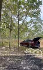 chính chủ sang nhượng đất vườn 3 mặt tiền hiếu liêm có nhà yến mới xây, cao su 5 năm tuổi