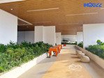cho thuê căn hộ 1 pn - 50m2 chỉ 5tr/tháng