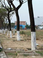 cơ hội đầu tư phân lô đất nền liền kề đường võ chí công