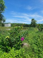 sang lại trang trại yến dừa 12ha