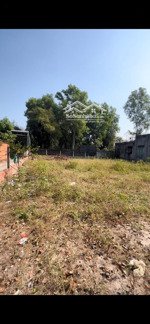 chính chủ bán nhanh lô đất thổ 5x26 giá 1ty2 ở củ chi,sổ riêng,gần trường , thổ cư hết đất