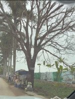 bán đất hoa động 100m², đường 6.5m ôtô vào tận đất, giá 48tr/m,sổ riêng lâu dài,đầu tư sinh lời cao