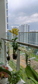 cho thuê căn hộ tháp e 2pn | 71m | full nội thất | 15 triệu/tháng | masteri centre point