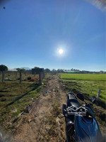 cho thuê đất nông nghiệp 300m2/1,2tr thành hải, tp. phan rang