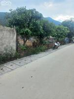 CHÍNH CHỦ CẦN BÁN GẤP LÔ ĐẤT MT ĐƯỜNG LÊ TRỌNG TẤN, XÃ CHÂU PHA, TX. PHÚ MỸ, BÀ RỊA - VŨNG TÀU