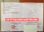 100m, đất đg trại chăn nuôi tân ước, với siêu phẩm vip 2 mặt đường, vỉa hè ô tô tránh, trục chín